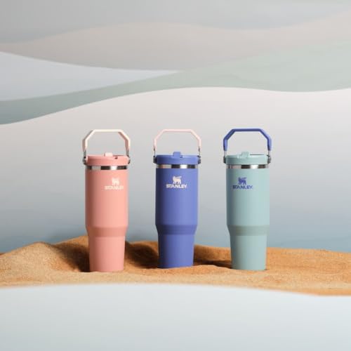 Stanley IceFlow Flip Straw Tumbler with Handle 30 oz | Twist On Lid and Flip Up Straw | Leak Resistant Water Bottle | Insulated Stainless Steel |BPA-Free | Lilac