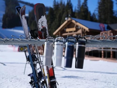 Stanley IceFlow Flip Straw Tumbler with Handle 30 oz | Twist On Lid and Flip Up Straw | Leak Resistant Water Bottle | Insulated Stainless Steel |BPA-Free | Lilac