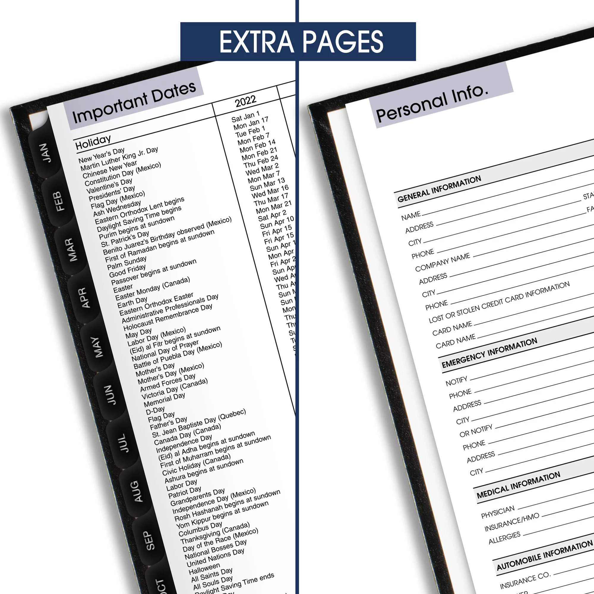 At-A-Glance DayMinder Premiere 2022 Weekly Appointment Book Planner, Hardcover, Black, Large, 8