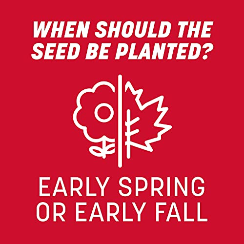 Pennington The Rebels Tall Fescue Grass Seed Mix 40 lb