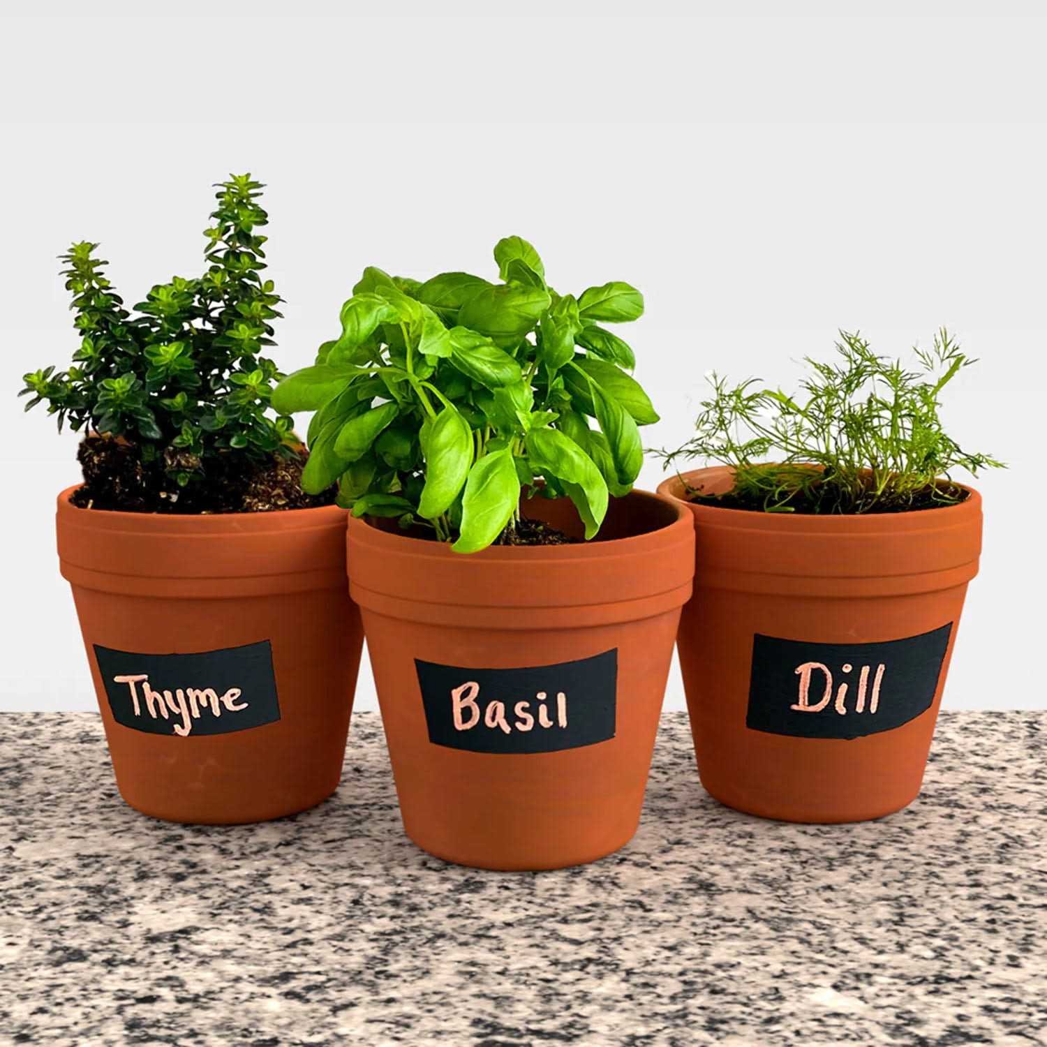 Magnetize-It! Chalkboard Paint