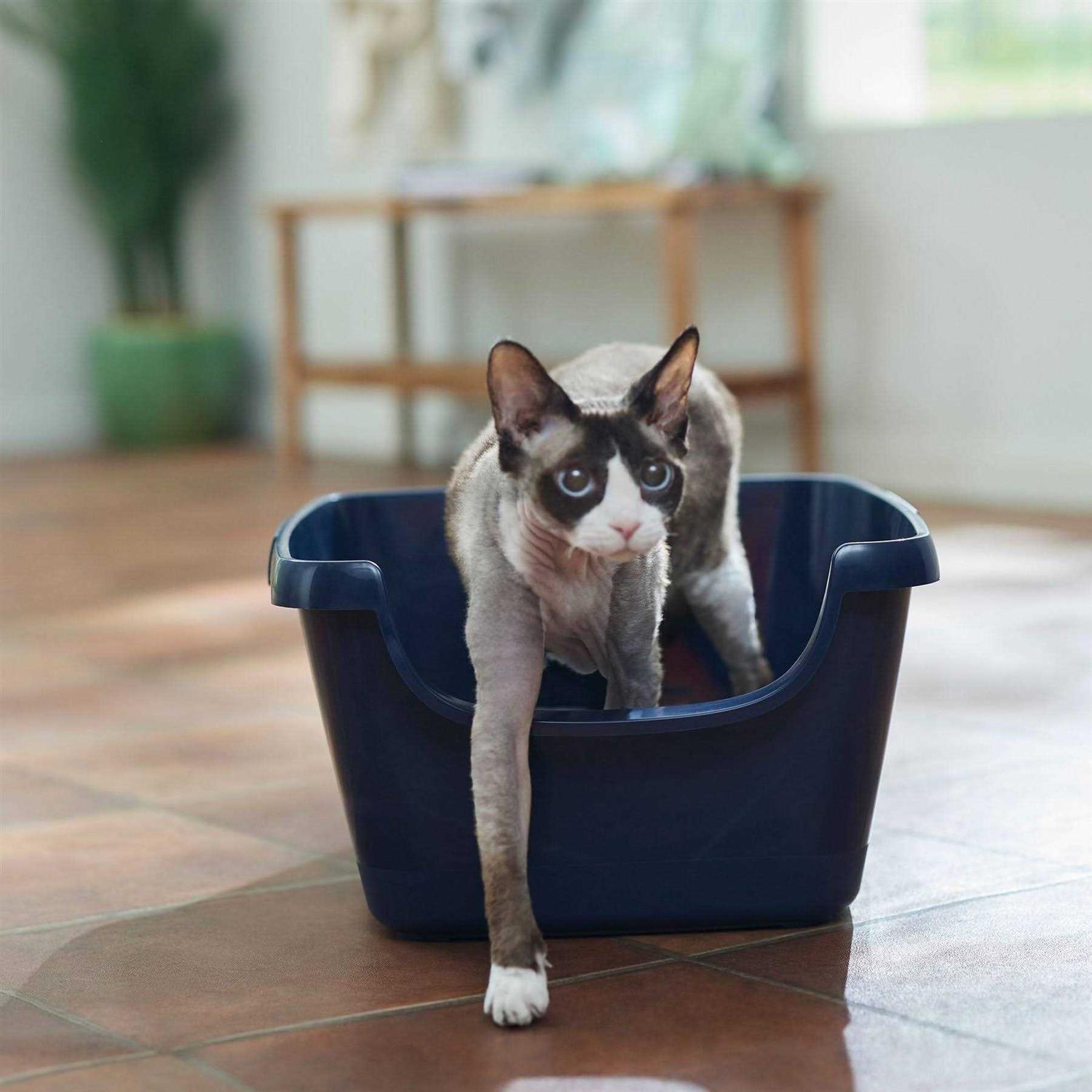 Frisco High Sided Cat Litter Box - Pet Supplies online store