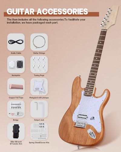 Leo Jaymz DIY Single Cut Electric Guitar Kits with Mahogany Body and Neck - Rosewood Fingerboard and All Components Included (LP Hollow)