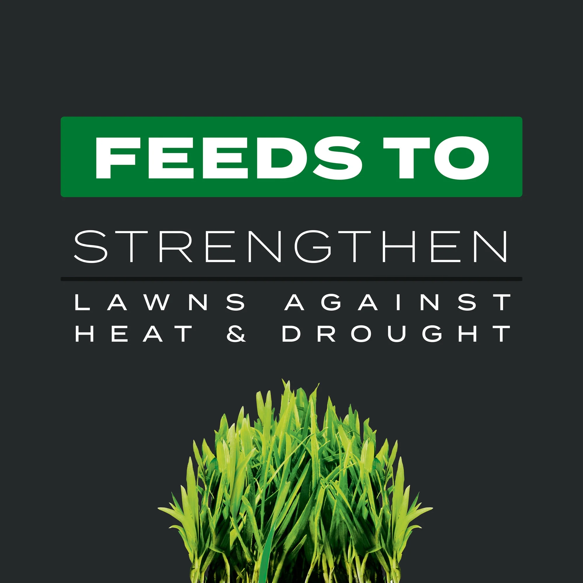 Scotts Turf Builder Southern Triple Action, 4,000 sq. ft., 13.32 lbs.