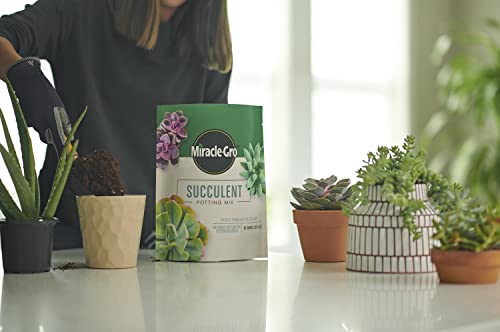 Miracle-Gro Houseplant Potting Mix - Fertilized Soil, Designed to be Less Prone to Gnats, 4 qt. (2-Pack)