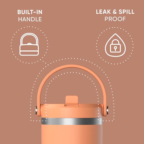 Hydrapeak Nomad 24 oz Tumbler with Handle and Straw Lid, Leakproof, Double Insulated, 24oz Cup Stainless Steel (Blush)