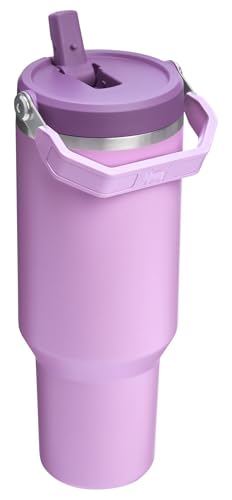 Stanley IceFlow Flip Straw Tumbler with Handle 30 oz | Twist On Lid and Flip Up Straw | Leak Resistant Water Bottle | Insulated Stainless Steel |BPA-Free | Lilac