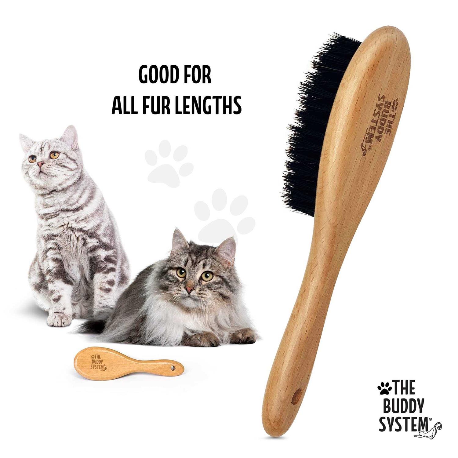 The Buddy System Cat Brush with Boar Bristle and Wooden Handle, Professional Grade Daily Grooming Hairbrush, Reduce Shedding, Soft Hair and Healthy - Pet Supplies online store
