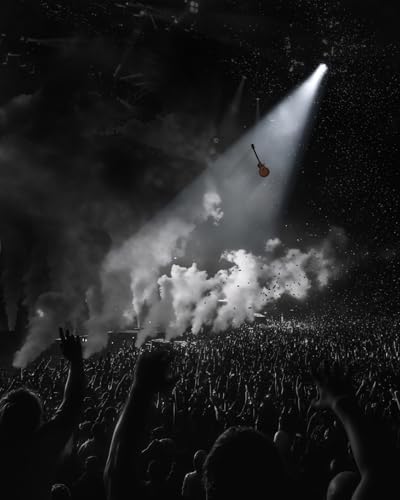 FLP350 Electric Guitar, 39