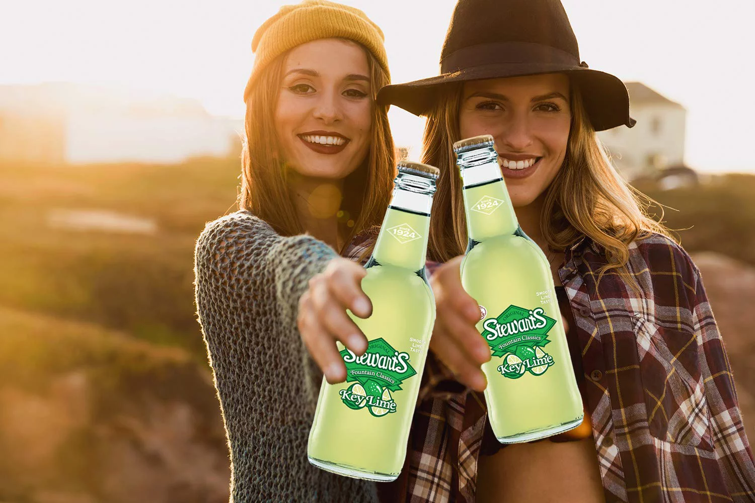 Stewart's Key Lime Soda, 12 fl oz (12 Glass Bottles), All Natural Family Pack Drinks