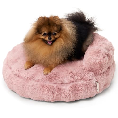 EHEYCIGA Small Dog Bed and Cat Couch for Puppy and Kitten - Fluffy Faux Rabbit Fur Pet Sofa with Washable Removable Cover, Waterproof and Non-Slip, 23 Inch Cream