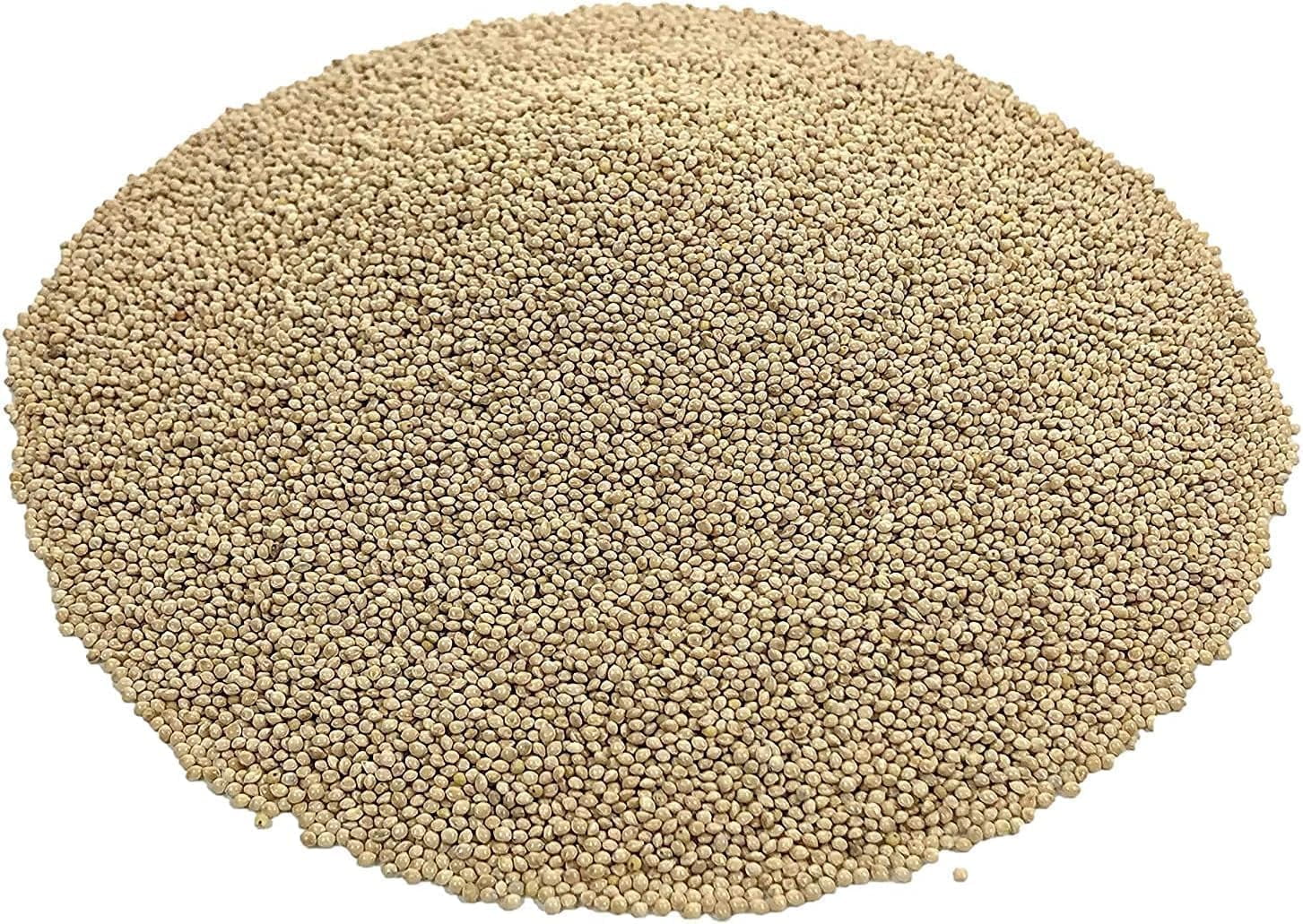 CZ Grain 5 Pounds Premium White Millet Proso Seeds - Bulk Seeds, Bird Feed, Wild Bird Food