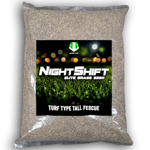 NightShift (Formerly Blackout) Turf Type Tall Fescue Grass Seed (10 lbs)