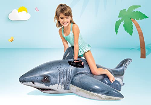 INTEX Inflatable Pool Float: Pool Toy for Kids