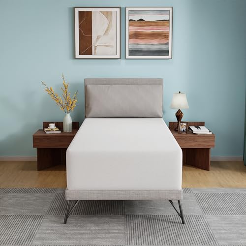 PayLessHere 6 Inch Twin XL Gel Memory Foam Mattress Fiberglass Free/CertiPUR-US Certified/Bed-in-a-Box/Cool Sleep & Comfy Support