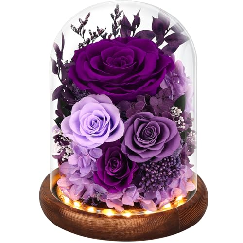 Forever Preserved Real Flowers for Delivery Prime, Etneral Fresh Roses in Glass Dome with LED Lights, Mothers Day Gifts for Mom, Her, Wife, Grandma, Daughter, Women, Girlfriend, Red