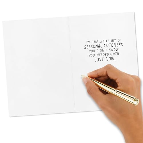 Hallmark Shoebox Funny Boxed Christmas Cards (24 Cards and 24 Envelopes) Dog, Cat, Llama, Reindeer