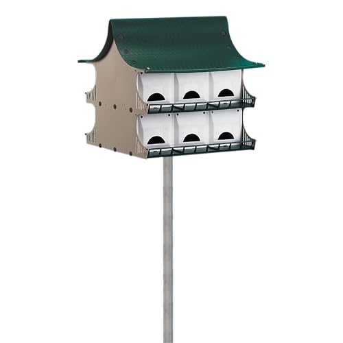 S and K Purple Martin House, 12 Room