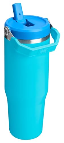 Stanley IceFlow Flip Straw Tumbler with Handle 30 oz | Twist On Lid and Flip Up Straw | Leak Resistant Water Bottle | Insulated Stainless Steel |BPA-Free | Lilac