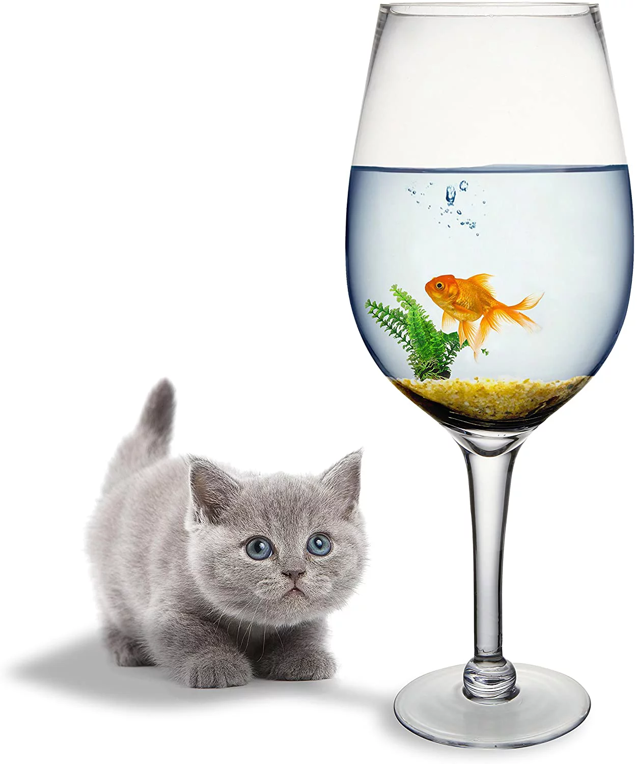 MyGift 20-Inch Giant Clear Wine Glass Novelty Stemware/Champagne Magnum Chiller/Fish Bowl