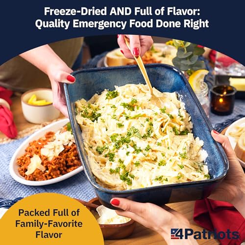 4Patriots 2-Week Survival Food Kit: Emergency Food Supply Designed to Last 25 Years, 84 Servings