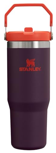 Stanley IceFlow Flip Straw Tumbler with Handle 30 oz | Twist On Lid and Flip Up Straw | Leak Resistant Water Bottle | Insulated Stainless Steel |BPA-Free | Lilac