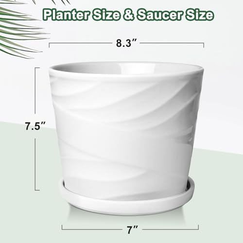 8 Inch Plant Pot, Ceramic Planters for Indoor Plants with Drainage and Saucer, Large Plant Pots, Modern Planter(Gray White, Planter Only)