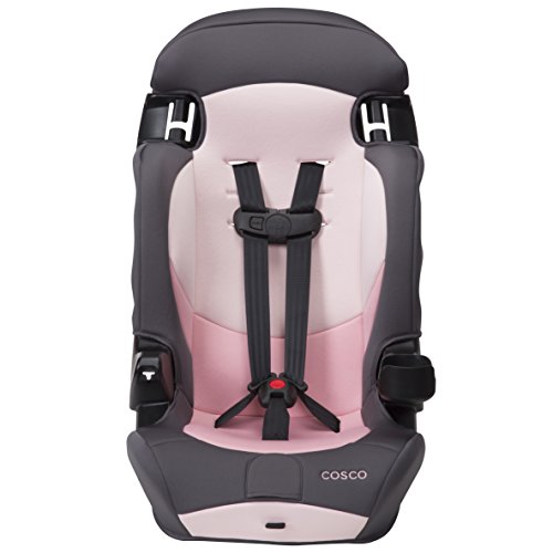 Cosco® Finale DX 2-in-1 Booster Car Seat, Dusk