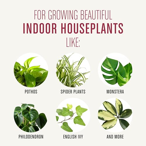 Miracle-Gro Houseplant Potting Mix - Fertilized Soil, Designed to be Less Prone to Gnats, 4 qt. (2-Pack)