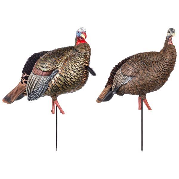 Avian-X HDR Jake and Hen Turkey Decoy Combo - Carbon