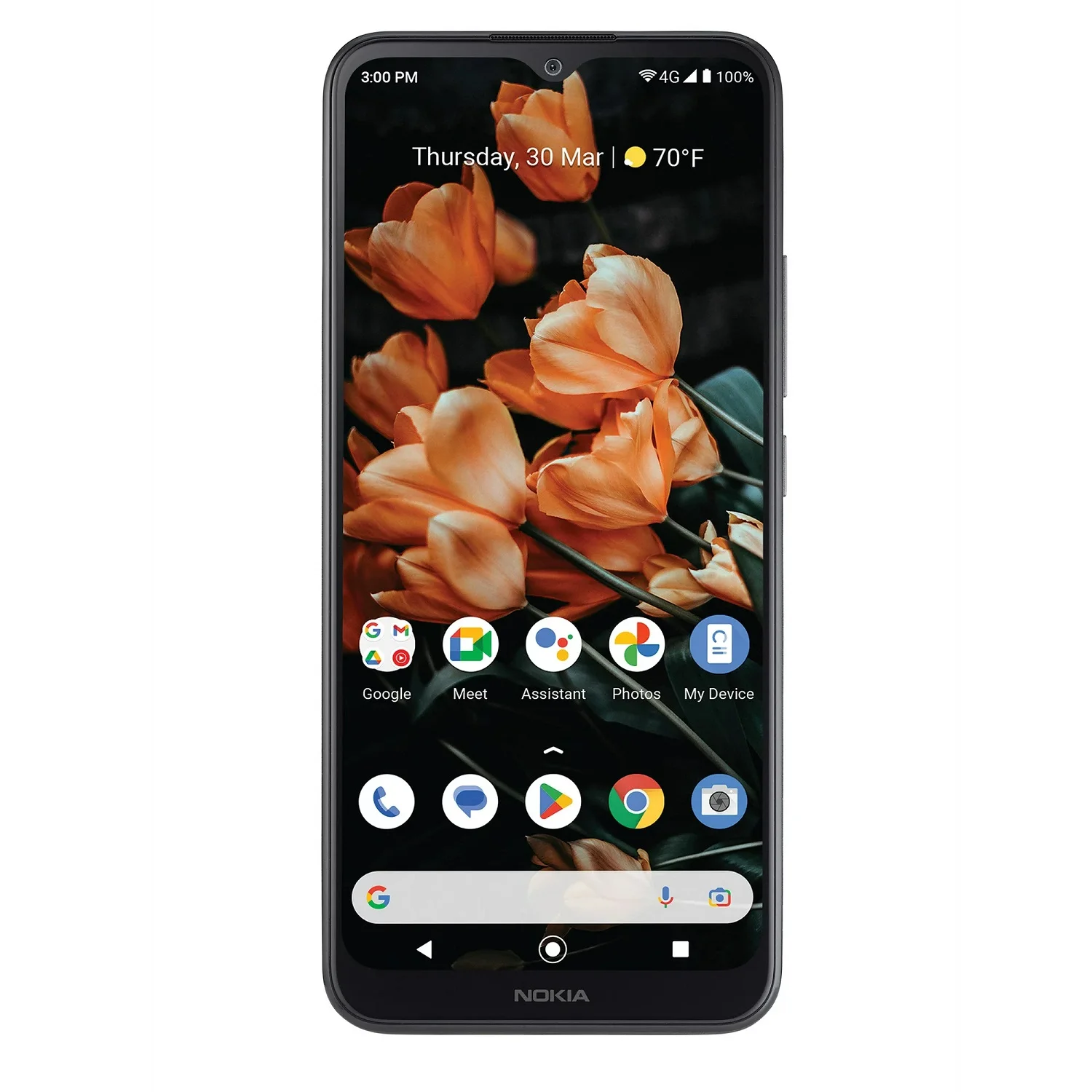 Restored Nokia Nokia C110 Consumer Cellular, 6.3 in, 32GB, 4G LTE 13(MP)Mega Pixel Grey - Smartphone (Refurbished)