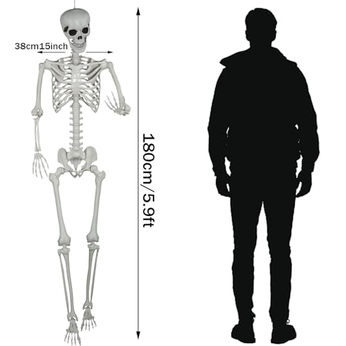 5.9ft Halloween Life Size Skeleton Realistic Full Body Skeletons Plastic Human Bones with Movable Joints for Halloween Props Spooky Party Decoration