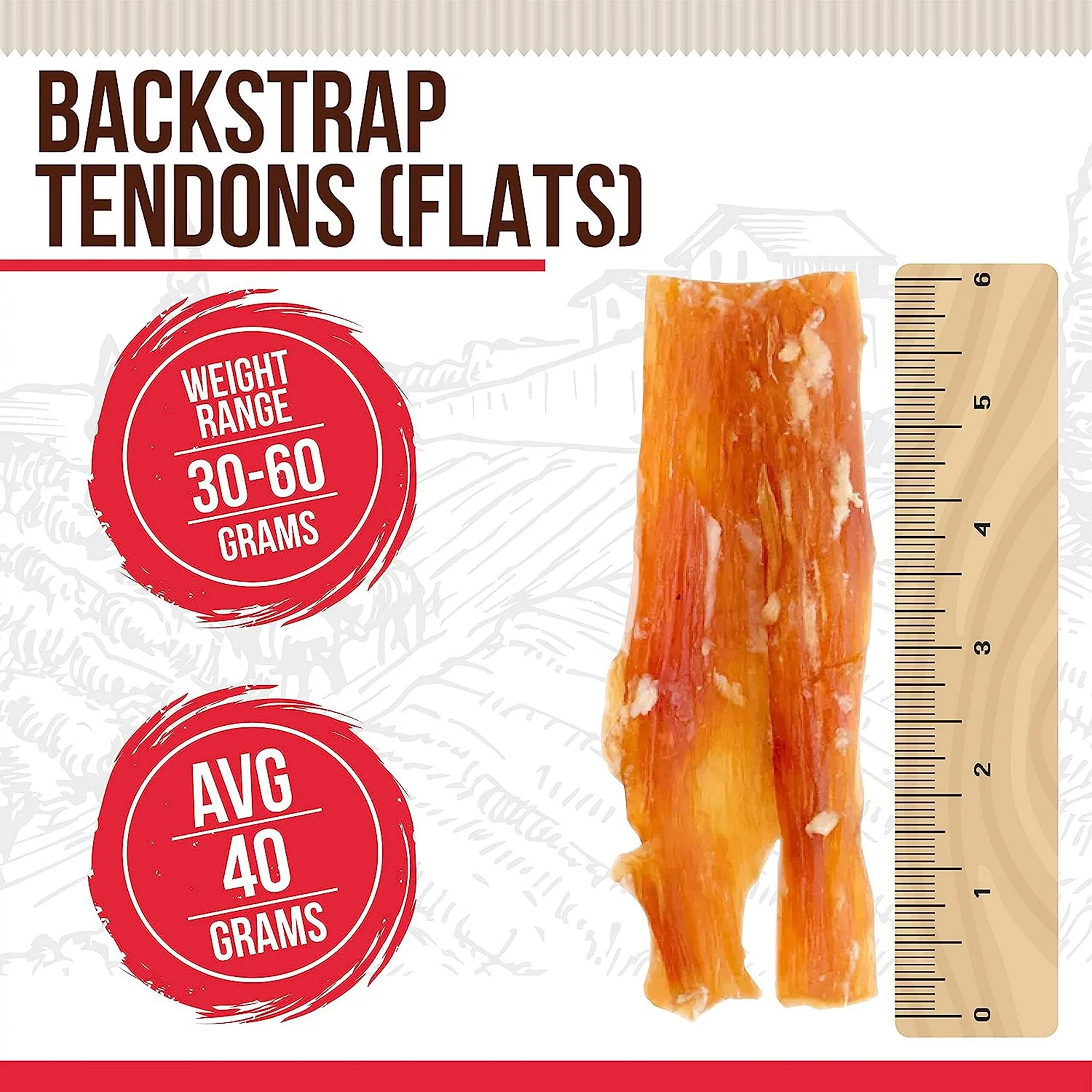 Best Dog Chews - Beef Tendons - Backstrap Strips - 6