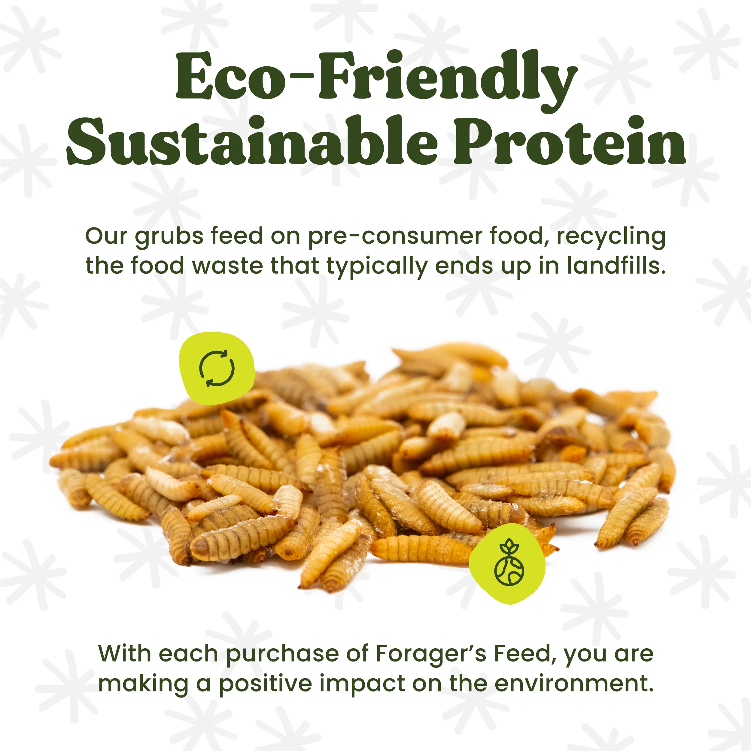 Whole Dried Black Soldier Fly Larvae Bag (BSFL) 15 Lbs.