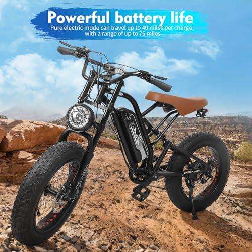 Electric Bike for Adults 48V/20AH Battery 1500W Motor, 20
