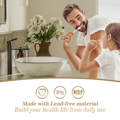 Phiestina Brushed Gold One Hole High Bathroom Vessel Sink Faucet, Single Hole Single Handle Tall Bathroom Faucet, with Pop Up Drain and Water Supply Line,FH01-BG-V