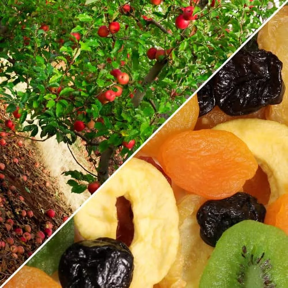 Dried Mixed Fruit With Prunes By , 10 Lbs Bulk | Snack Mix Of Prunes, Apricots, Plums, Rings, Nectarines, Peaches, Pears, Slices | Dry Fruits - Vegan Kosher Healthy