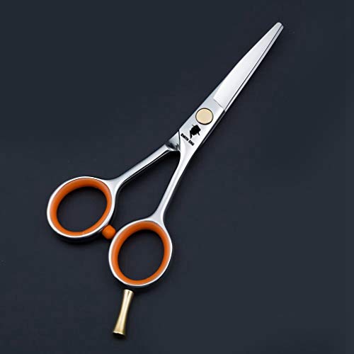 Hair Cutting Scissors Shear 5