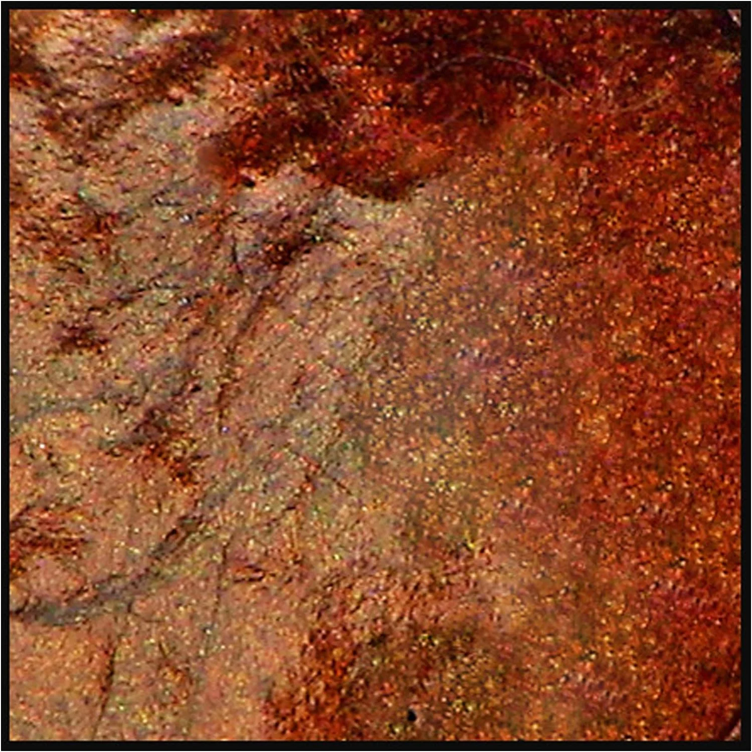 Burnt Umber, Best Value 30Ml Jar, Primary Arte-Pigments - Summer Sale- 1 Week