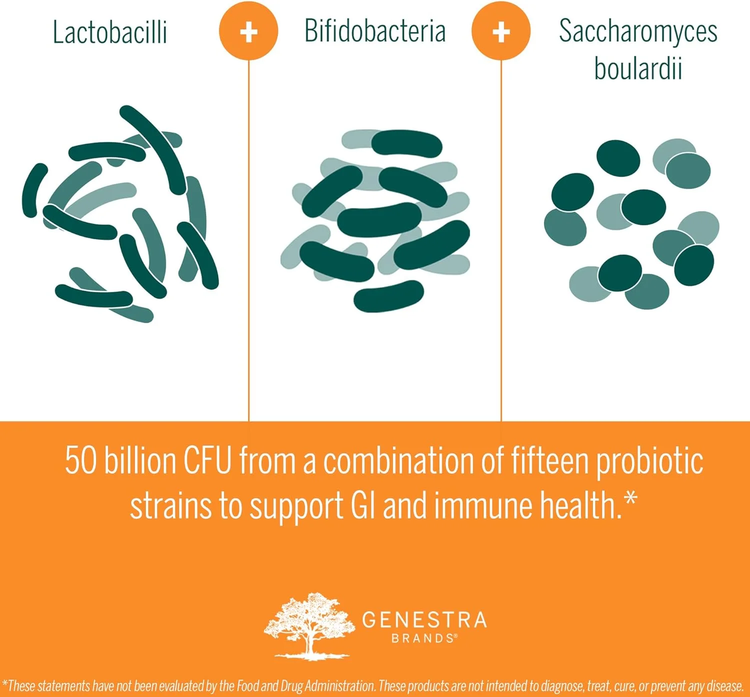 HMF Multi Strain 50 | Probiotic Supplement | 30 Capsules