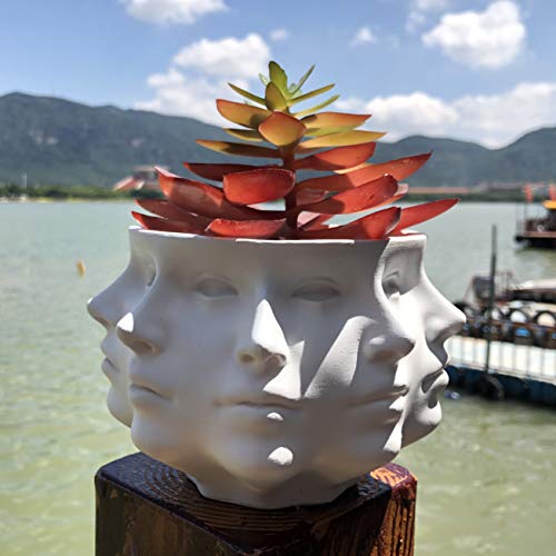 Multi-Face Succulent Planter Vase Small Face Plante Head Face Vase Home Decoration Succulent Cactus Indoor Plant Pot
