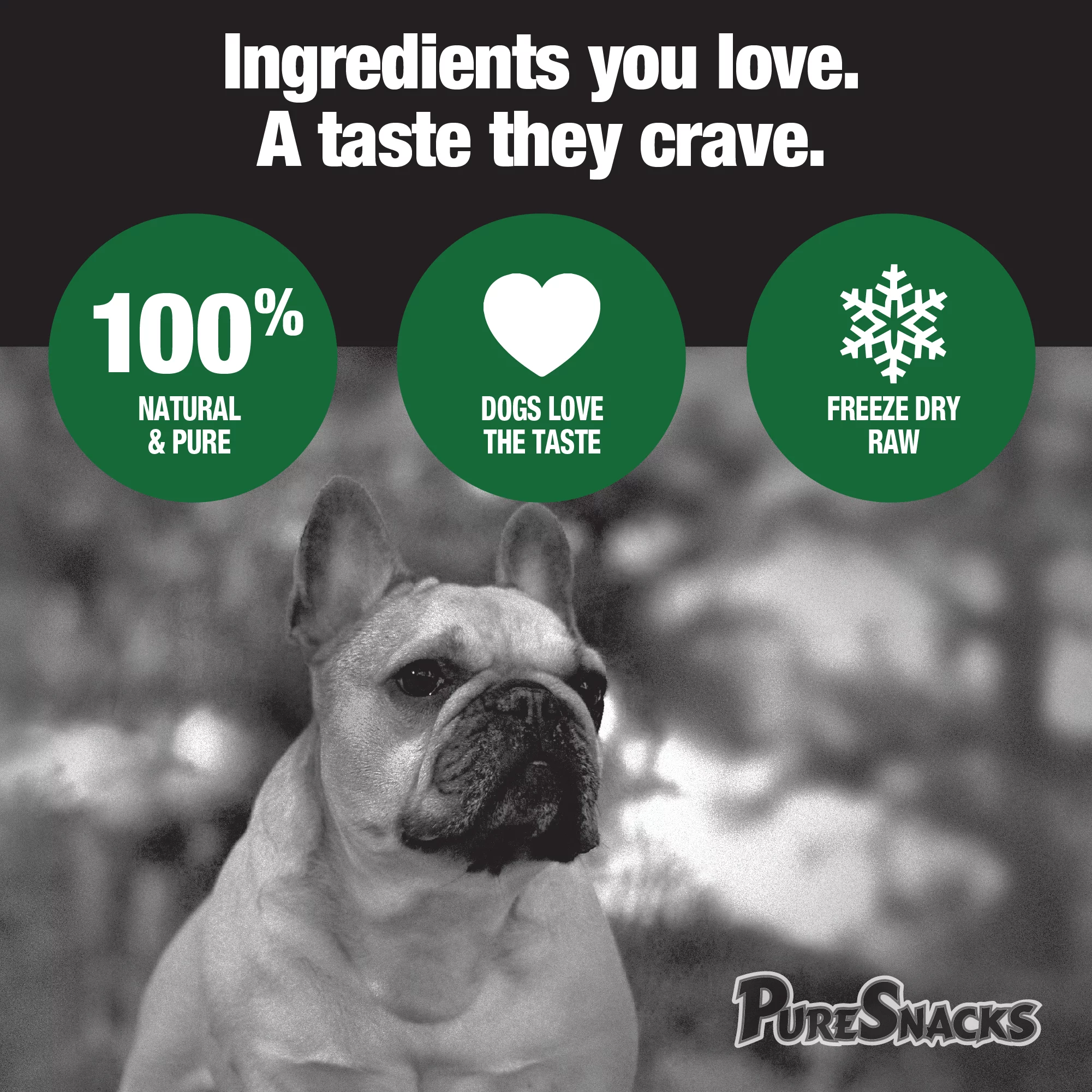 PureSnacks Beef Liver Freeze Dried Dog Treats, 6.98 oz.