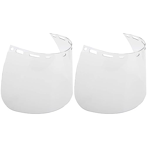Replacement Face Shield, 8