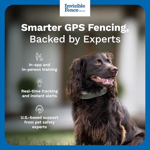 Invisible Fence GPS Dog Fence & Tracking Collar Bundle with Training Flags (White) & Treat Bag (Blue), Wireless GPS Tracker Collar, for Medium & Large Dogs, Waterproof - 1 Year Subscription Included