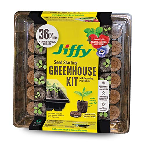 Jiffy Seed Starting Tray Kit, 36 Cell 36mm Peat Pellets with Bonus, 3 Pack, 108 Pellets Total