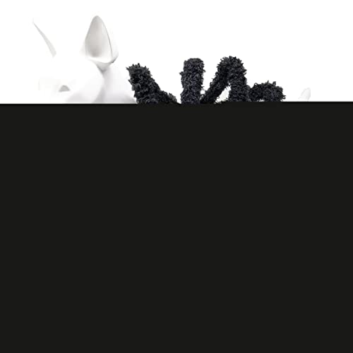 212 Main Creepy Webs Holiday Spider Pet Dog Costume - Black - Medium