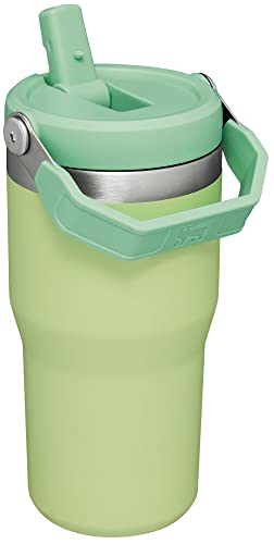 Stanley IceFlow Flip Straw Tumbler with Handle 30 oz | Twist On Lid and Flip Up Straw | Leak Resistant Water Bottle | Insulated Stainless Steel |BPA-Free | Lilac