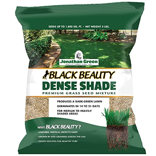 Jonathan Green (10620) Black Beauty Dense Shade Grass Seed - Cool Season Lawn Seed (7 lb)