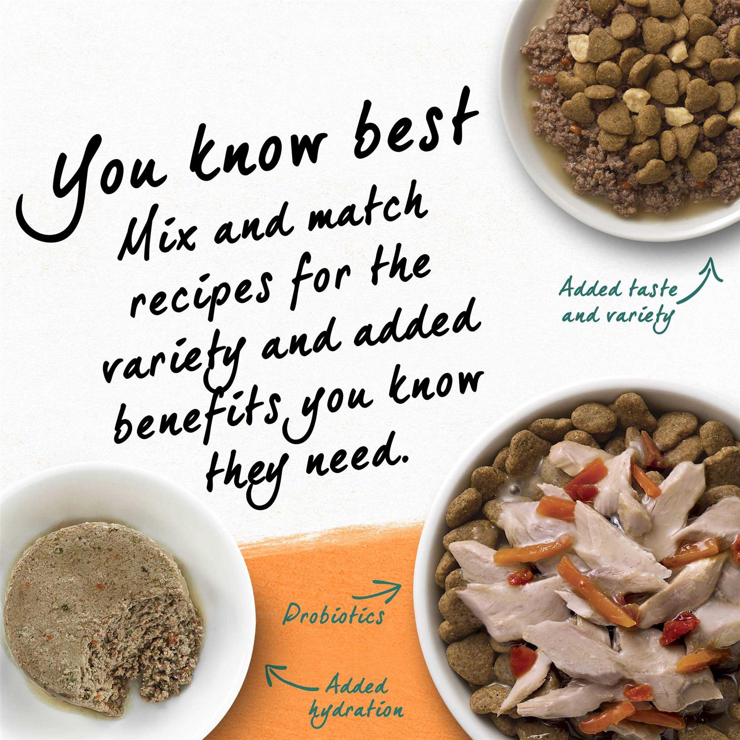 Purina Beyond Grain Free White Meat Chicken & Egg Recipe Natural Dry Cat Food - Pet Supplies online store