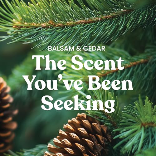 Yankee Candle Balsam & Cedar, Holiday Scented Candle, 22oz Large Jar with up to 150 Hour Burn Time, Giftable